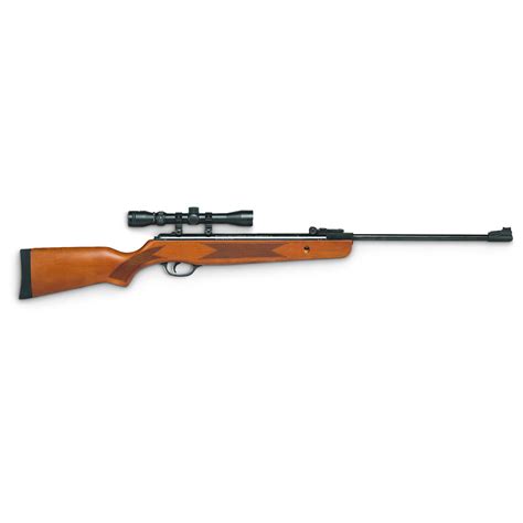 Winchester® 1250WS Air Rifle, Wood - 294671, Air & BB Rifles at ...