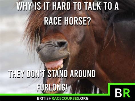 Horse Racing Memes - Funny Racing Memes