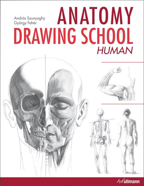 [PDF] Art Of Drawing Anatomy | Rogershouseife Book Store