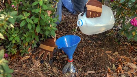 Why You Should Bury a Soda Bottle in Your Garden [VIDEO] | Today's ...