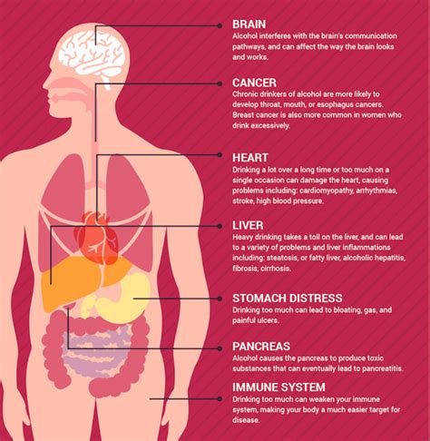 The Effects of Alcohol on the Body | Alcohol effects on body, Effects ...