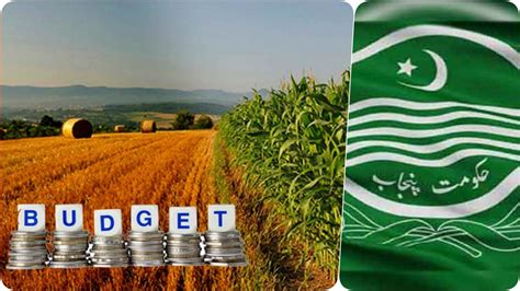 Punjab Government's Commitment to Agriculture Sector Development ...