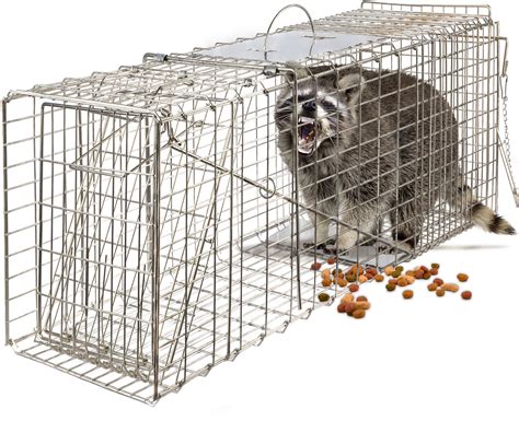 Buy OxGord Live Animal Trap - Humane Catch & Release Large 32" Cage ...