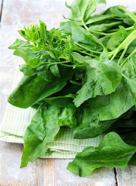 Turnip Greens: How to Use, Prep & Store | Guide to Turnip Greens