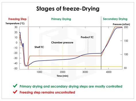 Freeze Drying Chart