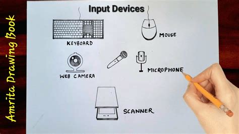 Computer input devices drawing | Computer input parts | main parts of ...