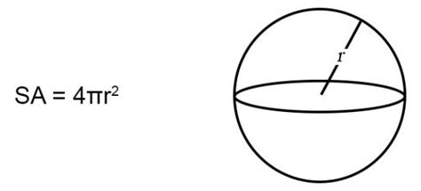 Surface Area of a Sphere (Formulas & Examples) | Free Lesson