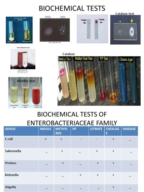 Biochemical Tests