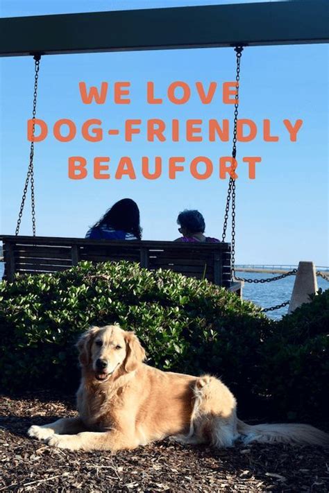 Why We Love To Visit Beaufort, South Carolina With Our Dog | Dog ...