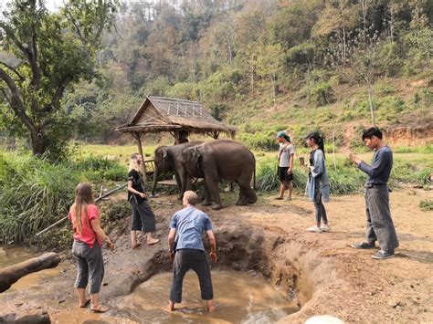 CHIANG MAI ELEPHANT JUNGLE SANCTUARY FULL DAY - CHIANG MAI TOURS