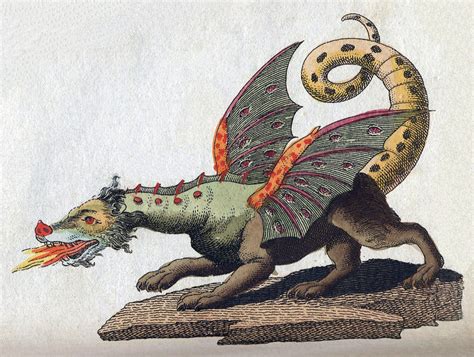 European dragon - Wikipedia