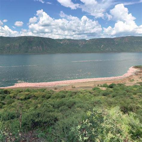 The Flamingos of Lake Bogoria in Lake Bogoria, Kenya (Google Maps)