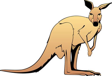 Download Brown, Australia, Kangaroo. Royalty-Free Vector Graphic - Pixabay