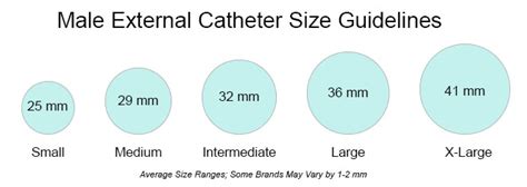 Male External Catheter Size Chart