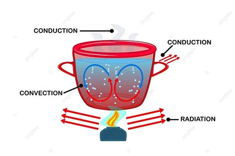 Heat Transfer Convection Currents Labeled Diagram Education Concept ...