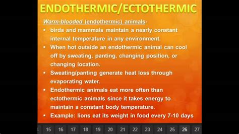 ENDOTHERMIC/ECTOTHERMIC ANIMALS - YouTube