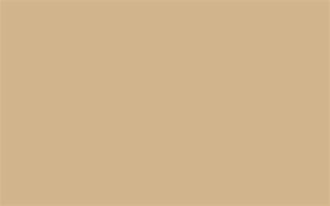 15 Selected light brown aesthetic wallpaper desktop You Can Download It ...