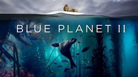 Blue Planet II (2017) | Watch Free Documentaries Online