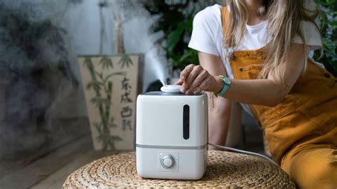 9 Best Humidifier for Plants: Top Picks and Expert Tips for 2024