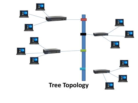 What is Tree Topology in Networking || Networking Chapter II Part 6