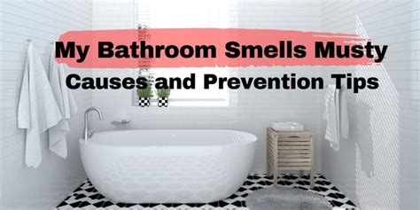 Why Does My Bathroom Smell Musty After Shower - Artcomcrea