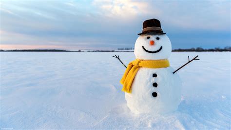 How to build the perfect snowman | abc30.com