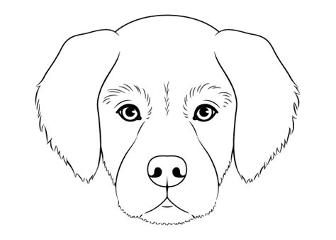 Easy Drawing Tutorials: How to Draw a Dog's Face