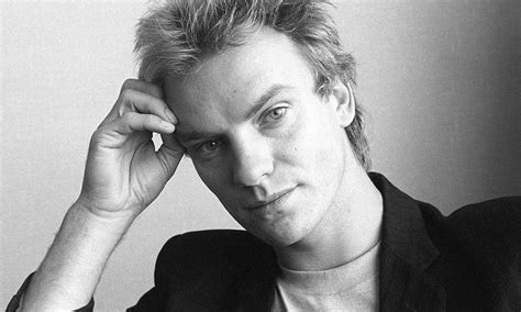 Sting - Janita Ernst