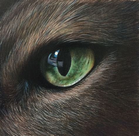 Niemr's Eye by Carole Rodrigue Colored Pencil realistic cat eye drawing ...