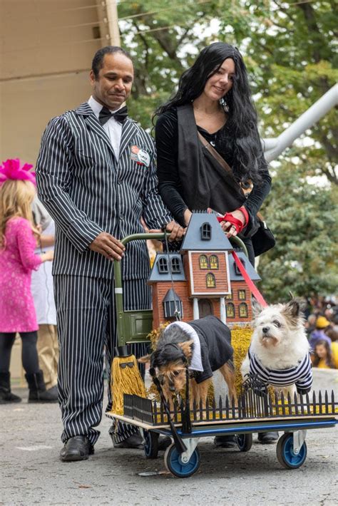 24 Best Matching Dog and Owner Halloween Costume Ideas for 2022