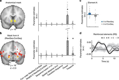 Ventral striatum does not code RL- or map-like knowledge. a Anatomical ...