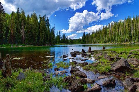 Grand Mesa Lakes: Top Lakes in Grand Mesa | Visit Grand Junction, Colorado