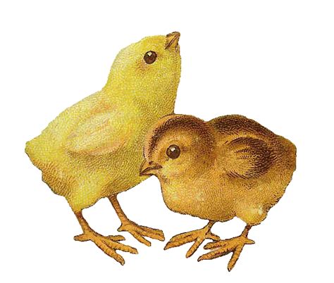 Antique Images: Free Easter Clipart: Two Easter Chicks