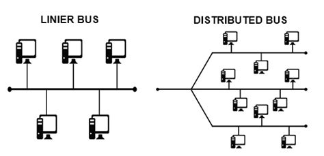 Understanding the Bus topology and its advantages and disadvantages