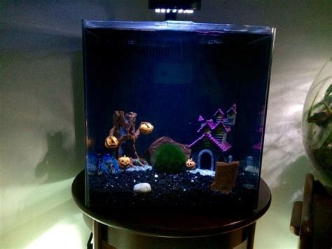 Electric blue crayfish tank. | Electric blue, Home and garden, Snow globes