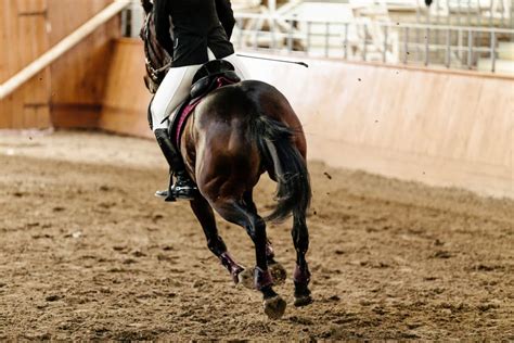 How to Choose Proper Horse Arena Sand Depth? | Footing Additives