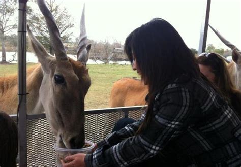 Bayou Wildlife Park | Things To Do in Alvin, TX