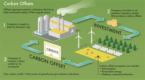 The Pros and (mostly) Cons of Carbon Offsetting - Protect Our Winters NZ