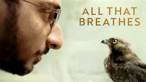 All That Breathes - HBO Documentary - Where To Watch