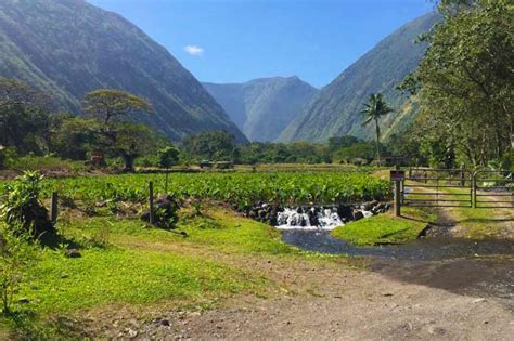 Waipio Valley and Waterfalls Tour