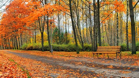 Fonds d'ecran Parc Automne Routes Arbres Banc Nature télécharger photo