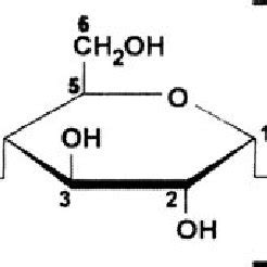 3 Structure of amylase | Download Scientific Diagram