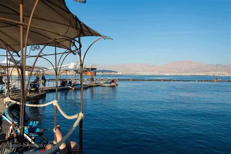 Dolphin Reef, Eilat - Visitors Guide with Vital Tips