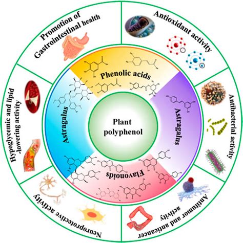 Frontiers | Insight in the Recent Application of Polyphenols From Biomass