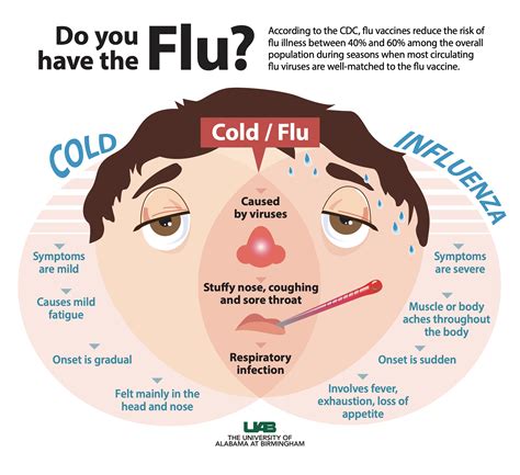 Flu Symptoms 2024 Vs Cold 2024 - Janaya Marylou