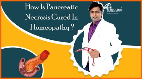 Pancreatic Necrosis | Pancreatic Necrosis Treatment | Pancreatic ...