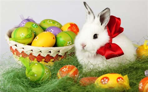 Easter Bunny Wallpapers - Wallpaper Cave