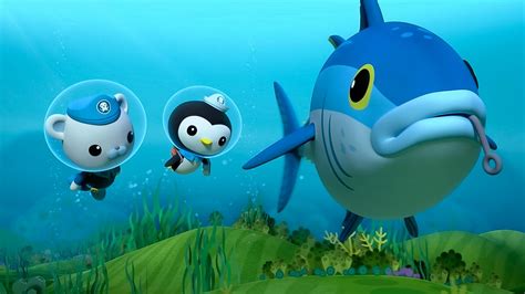 BBC iPlayer - Octonauts - Series 5: 1. Blue Fin Tuna