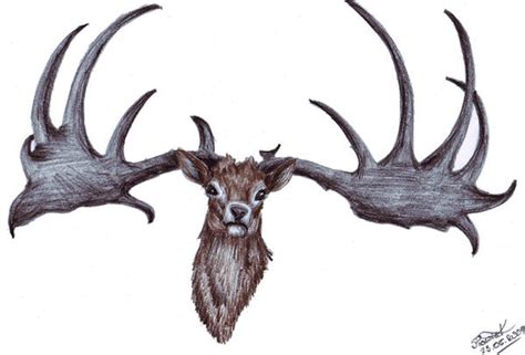 Megaloceros giganteus by czetna on DeviantArt