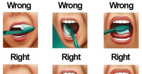 You’re Brushing Your Teeth Wrong! Here’s a Technique That’s 3X More ...